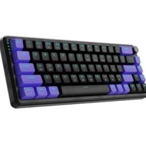 Hive 65 RGB Mechanical Gaming Keyboard | Pre-Lubed Switches, Anti-Ghosting, 5-Pin Hot-Swap | Wired 65% Keyboard with RGB Backlight & Detachable USB-C Cable (Black)
