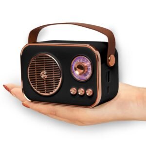Retro Portable Bluetooth Speaker Mini Radio Style Wireless Speaker with Handle for Home Travel and Outdoor Use