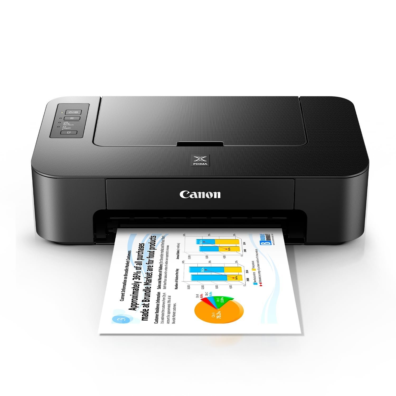 Pixma TS207 Single Function Inkjet Printer (Black)